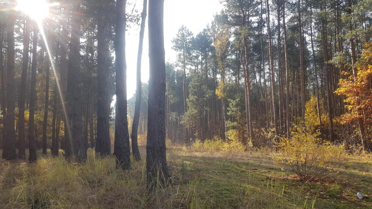 Dom Na Skarpie - Ucieczka Na Wies - Samodzielne Wejscie Na Szyfr, 100M2 Drazek Esterno foto
